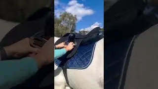 Tack Up with Me on the English Side of the Saddle - Greg Grant Saddlery