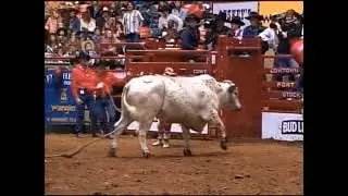 PBR 1994: Shawn McCalister's Terrific Recovery (84 pts)