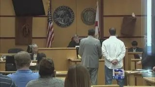 Suspect pleads guilty to rape, sodomy charges