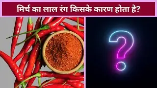 मिर्च का लाल रंग किसके कारण होता है? | Red Chilli Color Science Explained in Hindi