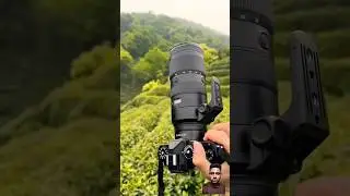 nikon Z f camera & nikkor z (70-200mm) f2/8 VR S lens photography 8K #photography #camera #shorts