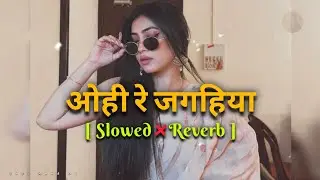 Ohi Re Jagahiya Daate Kat Lele Raja Ji Lofi ( Slowed × Reverb )old is gold#slowedandreverb  Bhojpuri
