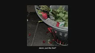 damn, just like that? - a playlist