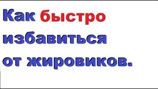 ЦИСТИЦЕРКОЗ. Как быстро избавиться от жировиков. Паразитология. Выпуск 19