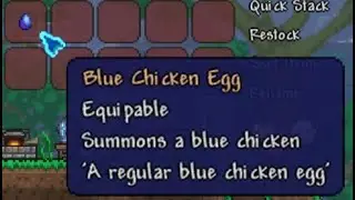 Terraria 1.4.4 - How to obtain Blue Chicken Pet ( Stardew Valley )