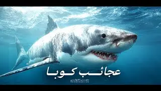 عجائب كوبا | من مستنقعات الغموض إلى أعماق الكاريبي!  أسرار وعجائب | القصّة كاملة | وثائقي
