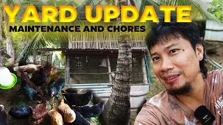 Backyard Chicken Farming Cebu | Farm Chores & Maintenance Routine 2025