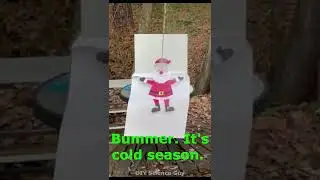 When Christmas Characters Catch a Cold