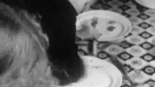 Slowdive - All of us