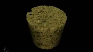 Core Sample - MicroCT (micro computed tomography) 3D X-Ray
