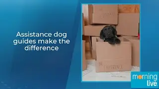 Assistance dog guides make the difference