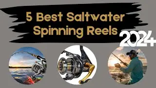 5 Best Saltwater Spinning Reels