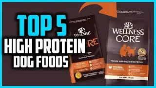 ✅Top 5 Best High Protein Dog Foods in 2025