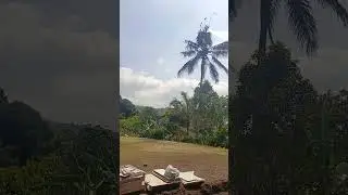 STORY WHATSAPP #lofi #chill #music #song #songlyrics #automobile #bali #indonesia #musikhiburan #cu