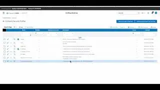 Optimizing Workforce Management with Scissortail HCM: Understanding Security Profiles