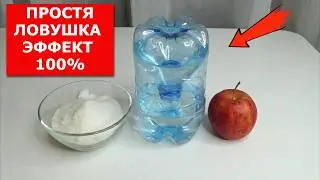 Простая и ЭФФЕКТИВНАЯ ловушка для МУХ,КОМАРОВ ,МОШКИ  ЛЕГКО!
