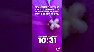 KJV 1 Corinthians 10:31 #kjv #scriptureoftheday #scripture #macro #flower