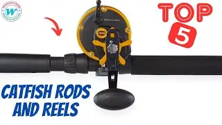 Best Catfish Rods and Reels buying guide | Top 5 Catfish Rods and Reels for the money