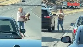Valiente mujer detiene el tr&aacute;fico con tal de salvar a un perrito en peligro