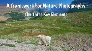 Learn the three elements to improve your landscape and wildlife photography