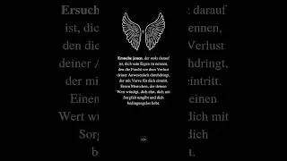 Die Suche nach der wahren Seele: Dein sicherer Hafen ⚓️