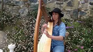 Wheatus - Teenage Dirtbag,  Harp Cover.