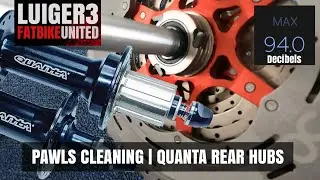 Pawls Cleaning | QUANTA Rear hub