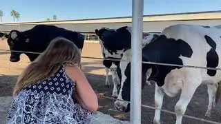The traveling crown: E1 Maddox Dairy