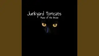 Junkyard Tomcats