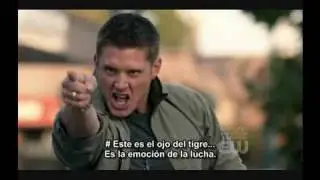 Jensen Ackless - Eye of the Tiger