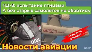ПД-8: испытание птицами. А без старых самолётов пока не обойтись. А как дела у китайских товарищей?