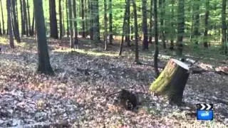 Ontario kukri throwing