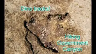 Dinosaur Tracks! Hiking Government Canyon in San Antonio, Texas