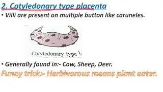 Type of placenta//Veterinary Anatomy// B.V.Sc & A.H.
