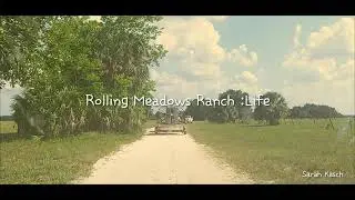 Rolling Meadows Ranch: Home
