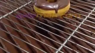 Donut &Uuml;retim Hattı - Donut Production Line
