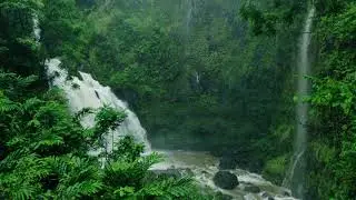 TROPICAL RAINFOREST IN HAWAII / WATERFALL SOUNDS, RAIN SOUNDS, JUNGLE AMBIENCE, SLEEP AMBIENCE