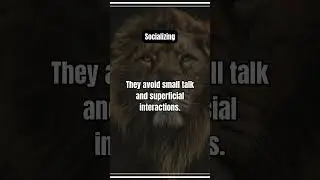Beyond Small Talk: The Sigma Male Guide to Meaningful Connections 💬