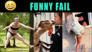 New Funny Videos 2020 || Funny People || Stupid People 2020 || Ydw Video