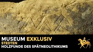 Stedten. Holzfunde des Spätneolithikums | Museum exklusiv
