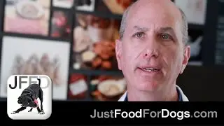 Are Apples Good For Dogs? feat. Dr. John Tegzes, VMD | JustFoodForDogs