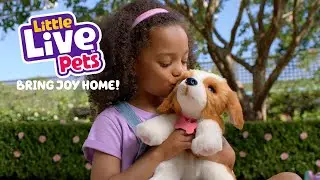 LITTLE LIVE PETS I Bring Joy Home I 30