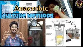 Anaerobic Culture Methods I Tamil | Microbiology | Mclntosh Fildes | GASPAK | ThiNK BIOLOGY