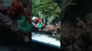 Fluval m90