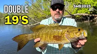 BIG Spring Smallmouth Bass - SMB2025E5