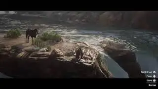 Relaxing & Enjoying The Scenery At Manteca Falls