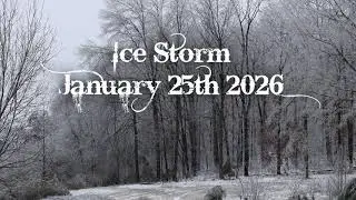 Ice Storm in Kentucky | 1- 25th - 2026