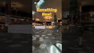 Punggol Coast MRT: What's going on here?