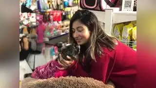 Dog Beds Antianxiety  Roadies fame Shreya Kalra with her little puppy (Shihtzu ) 
