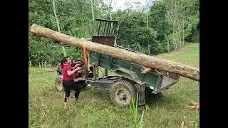 Alone in the Wilderness Transporting Heavy Wood Through Tough Terrain 